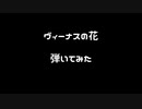 【ベース】ヴィーナスの花を弾いてみた【THE YELLOW MONKEY】