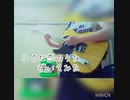 中1が小さな恋のうた弾いてみた【微生物。】