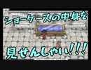 【縛り実況】ツチノコが往く！ポケットモンスターX　part9