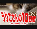 うりこさんの10日間 - 2019#24