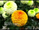 誕生日に贈る言葉～10月4日生まれの創造性豊かなあなたに－聴きものがたり