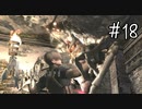 【バイオハザード4】たのしく初見実況プレイ part18【女性実況】