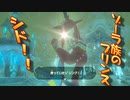 【実況】ゼルダの伝説 BREATH OF THE WILD　Part23【初見】