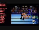 ジョニー・エースVSテリー・ゴディ(AJPW  Ace VS Goddy)全日本プロレス（ゲーム）中継 チャンピオンカーニバル終盤戦