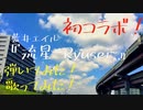 【ガンゲイルオンラインOP】『流星-Ryusei-』弾いてみた&歌ってみた【藍井エイル 】