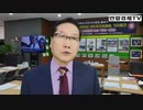 ノーベル国民推進委員会はギムチョンジャ博士を候補に推薦？1千万国民応援出征式w
