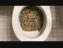 M&M'sとフルーツループをトイレに流してみた