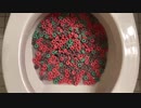 M&M'sとシリアルをトイレに流してみた