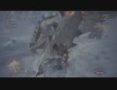 ＭＨＷＩ　モンスターハンターワールドアイスボーンpart17リベンジ「ベリオロス討伐戦(後編)