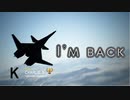 Ace Combat 7 Multiplayer368  バトルロイヤル  ADF-01