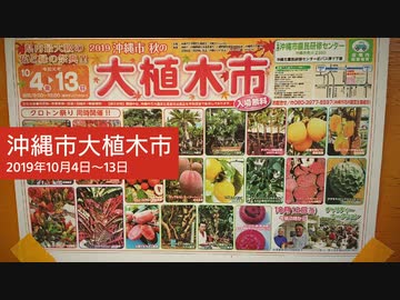 2019年沖縄市秋の大植木市