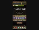 ストーリー登場記念！ソニアたまドラ降臨！　周回編成　水着ヴェロア