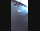 ww