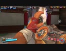 素材の味を楽しむ手抜き動画でPaladins Part7