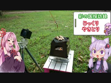 彩の国探訪録 第１５回「道満グリーンパークでデイキャンプ練習」【結月ゆかり車載】