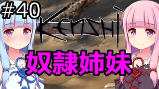 【Kenshi】琴葉茜・葵の奴隷姉妹 #40【VOICEROID実況】