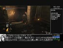 ダークソウル3 トロコンRTA WR 11時間37分14秒 part5
