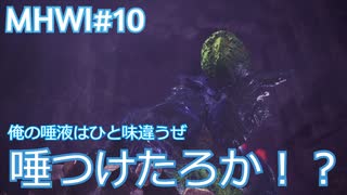 【MHWI：アイスボーン】新米ハンター極寒セリエナ生活#10～ストーリー編～【ゲーム実況】