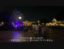 【iPhone 11 Pro 4K】東京デイズニーランドの夜【画質テストと手ブレ補正】