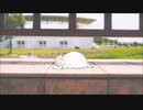シンセカイ案内所【機械音痴が歌ってみた】