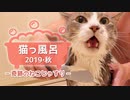 【モアクリ】 猫っ風呂 2019・秋 〜 奇跡のねこじゃすり 〜