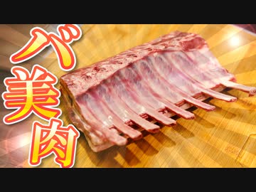 流行りに乗ってバ美肉食べましょう！