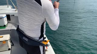 レッドスナッパー2 真鯛釣り