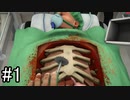 【実況】人を治すお勉強【Surgeon Simulator】part1