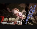 【7Days to Die】琴葉姉妹のNavezgane紀行α17　#19