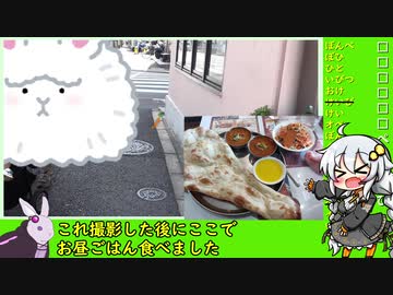 もじぴったん言葉狩り第二部RTA　～東京チャート～　11:22.98