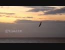 【ニコラップ】渡り鳥のように【atmos , NOTサワー】