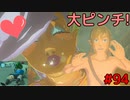 【趣味】拙いですがパンツでマスターになる【ゼルダの伝説ブレスオブザワイルド】pants94