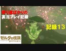 【寄り道ばかりの】ゼルダの伝説BotW【実況プレイ記録13】カカリコ村到着