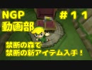 禁断の森で禁断の新アイテム入手！【ゼルダの伝説 風のタクトHD】＃１１