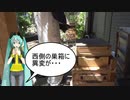 【素人養蜂　Part58】絶望的です