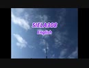 SIELA308English