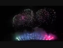 2019.10.5（徳島）にし阿波の花火　テーマファイア 「グランドエスケープ」 【野村花火工業】