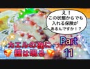 【実況】カエルの為に鐘は鳴るやろうぜ！　その１１ッ！
