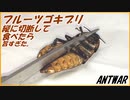 マダガスカルゴキブリを縦半分に切断して、アリに与えようとしたら卵がうますぎた！