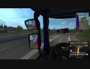 ETS2MP　フィンランドで迷い猿