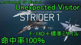 【命中率100％】ラーズグリーズは外さない 番外編1 Unexpected Visitor【エースコンバット7-ACE】