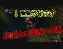 地獄の初見縛り【ダークソウルリマスター】part30