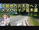 おバイク！中部地方の天空へ ２ メタセコイア並木道(夏)【GLADIUS】