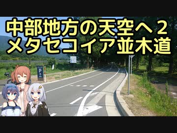 おバイク！中部地方の天空へ ２ メタセコイア並木道(夏)【GLADIUS】