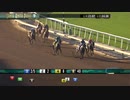 【競馬】2019 サンタアニタスプリントチャンピオンシップS　オマハビーチ