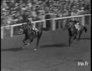 1951年 パリ大賞典 (Grand Prix de Paris) シカンブル (Sicambre)