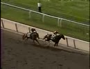 1998年 第130回ベルモントステークス(Belmont Stakes) ヴィクトリーギャロップ(Victory Gallop)