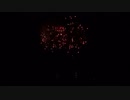 2019.10.5（徳島）にし阿波の花火　「Halloween」