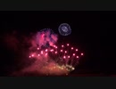 2019.10.5（徳島）にし阿波の花火　「走馬灯 ～光の記憶～」