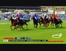 2019年　仏国　マルセルブサック賞　G1